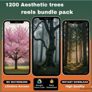🌳🌲🌴”1,200+ Ready-to-Use Aesthetic Tree Clips for Creators & Coaches🌳🌲🌴